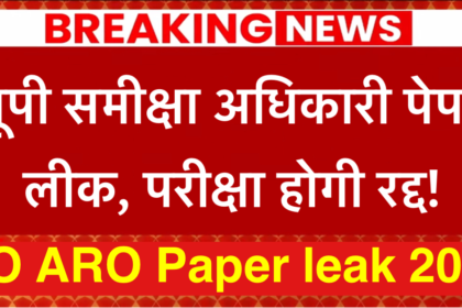 RO ARO Paper leak 2024