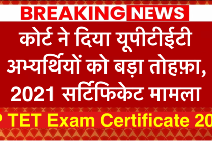 UP TET Exam Certificate 2024