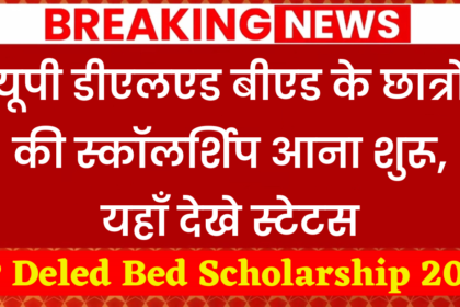 UP Deled Bed Scholarship 2024